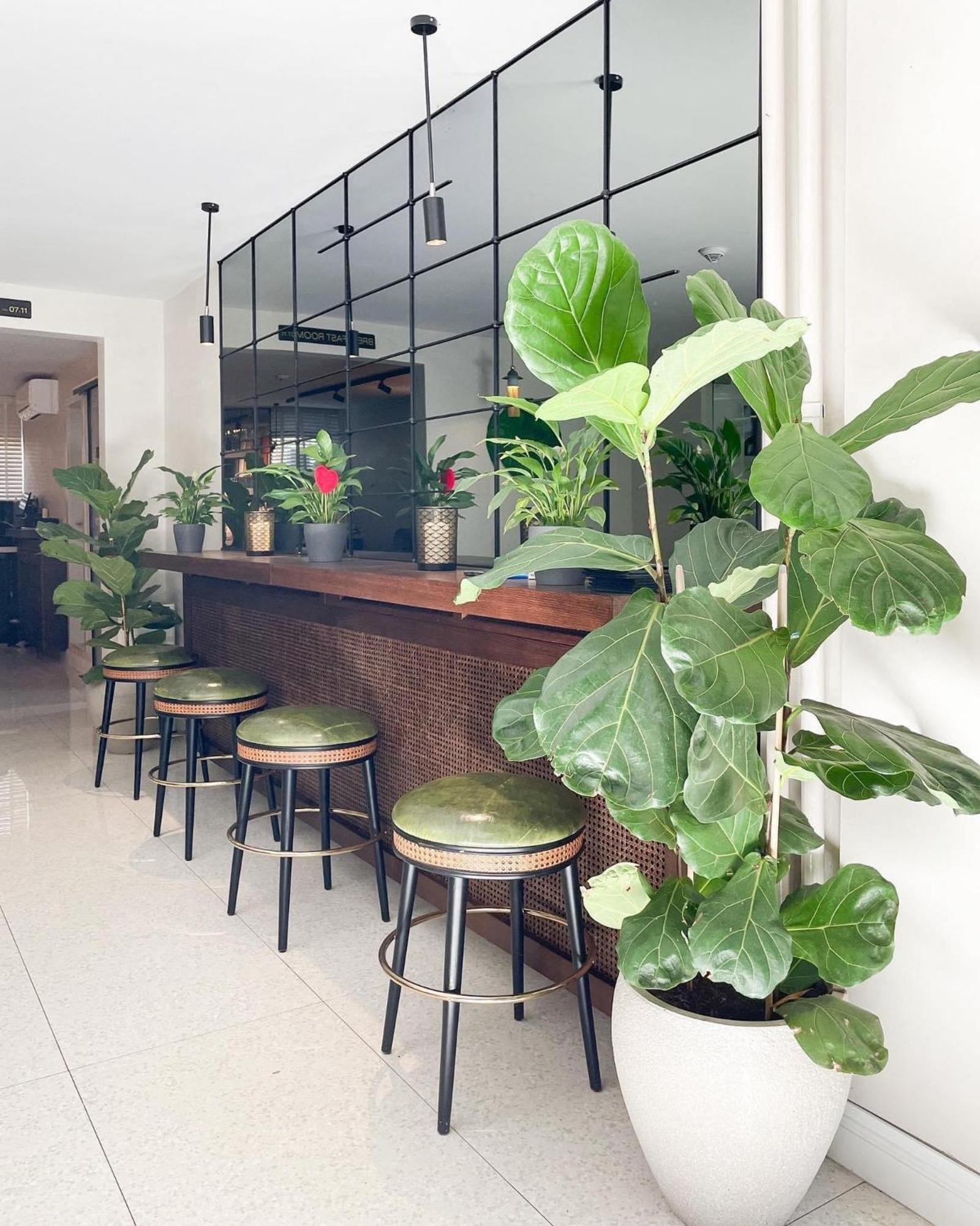 Hotel Botanica Belgrade Luaran gambar
